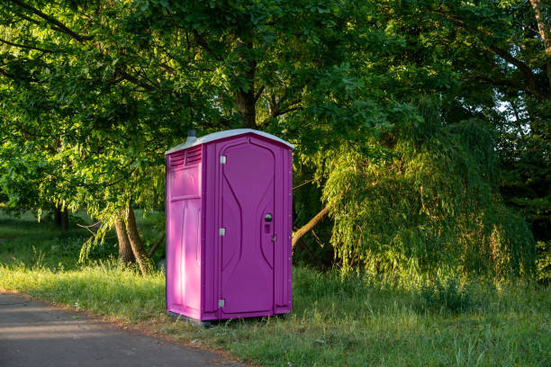 Portable Toilet Options We Offer in Lake Wazeecha, WI